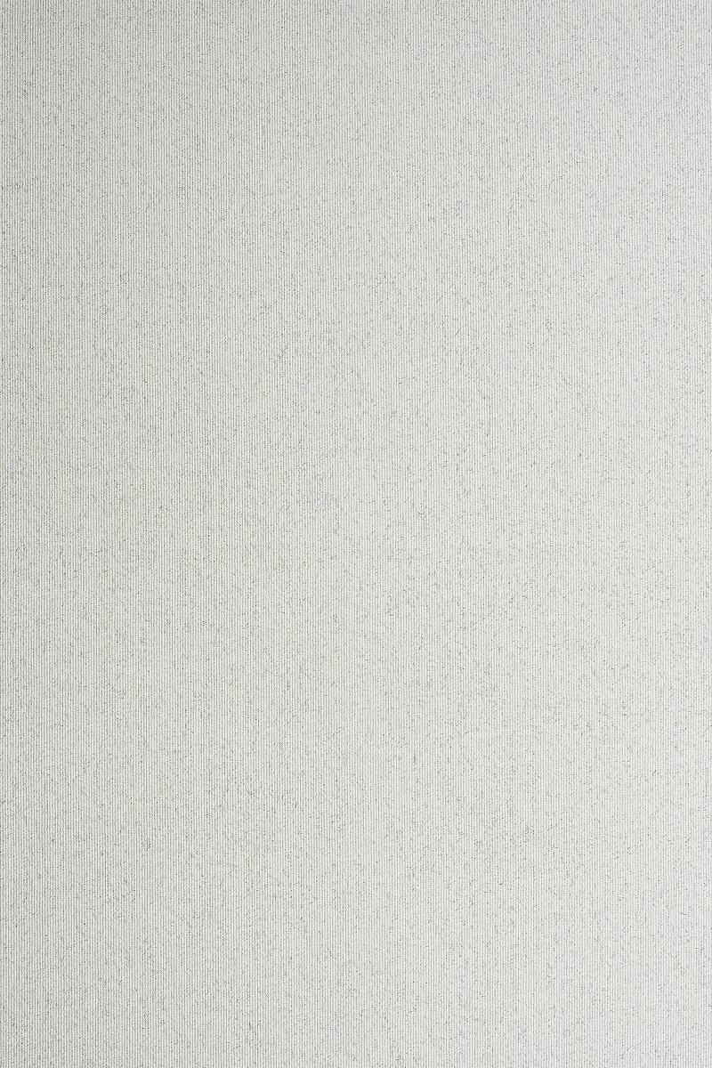 百丽
