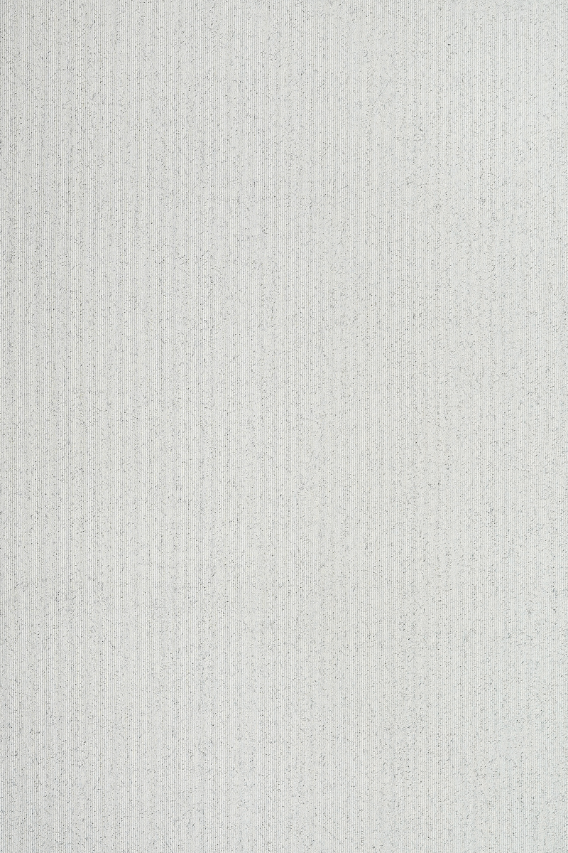 百丽